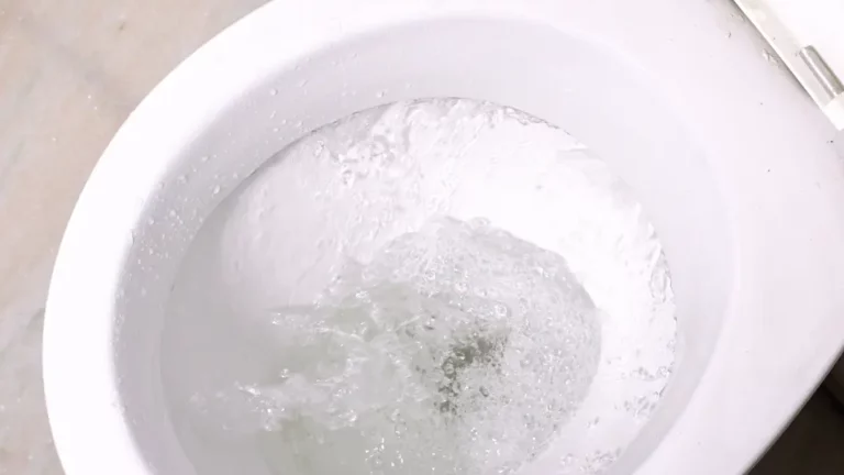 Como desentupir vaso sanitário com fezes com detergente?