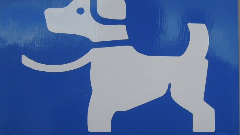 Como funciona o duque de dezenas no jogo do bicho?